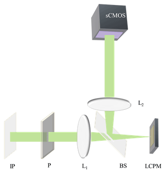 Optical setup for spatial light interference microscopy (SLIM): IP, Image plane; L1,L2; Fourier Lenses; P, polarizer, BS; Beam Splitter, LCPM; Liquid crystal phase modulator