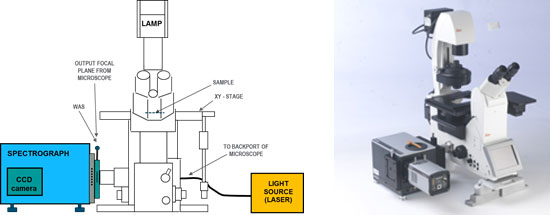 Schematic and picture of a spectrograph directly coupled to the side port of an inverted microscope