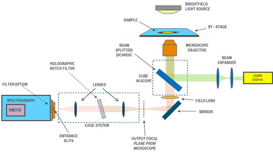 Schematic for a Raman setup with direct coupling of the spectrograph and microscope using a cage system