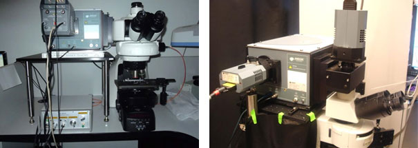 Examples where the spectrograph is coupled directly to the top port of upright microscopes