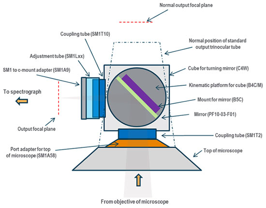 Schematic showing the details of the example chosen where specific Thorlabs parts are configured to adopt the top port of a Nikon Eclipse E600 microscope for direct coupling to a spectrograph