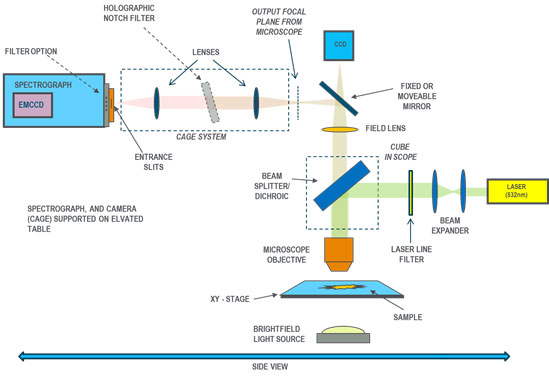 Schematic layout of system for Raman mapping on the microscopic scale based around an upright microscope