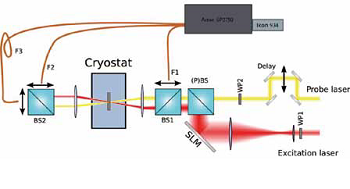 Schematic view of the experimental setup. The spatial light modulator (SLM) steers the excitation and beam, while the wave plates control the polarisation