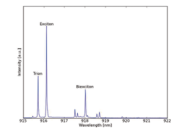 Luminescence spectrum of an InAs quantum dot. Trion, excitons and biexciton lines are annotated and other lines are related to other charges irrelevant in the experiments