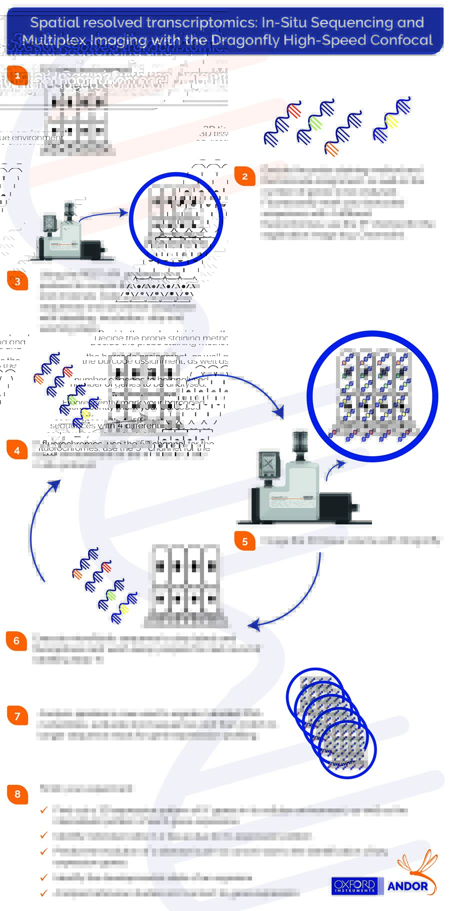 Multiplexing in cell biology is the unveiling of several (Xn) RNAs in its 2D or 3D biological context