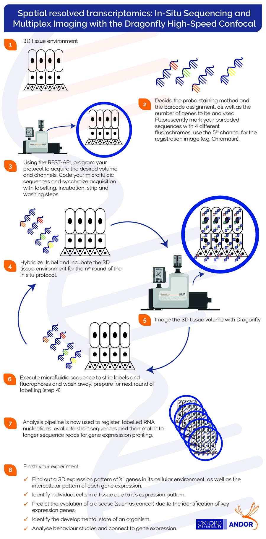 Multiplexing in cell biology is the unveiling of several (Xn) RNAs in its 2D or 3D biological context