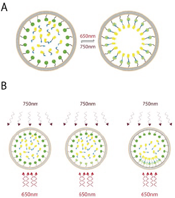 Spatiotemporal Control