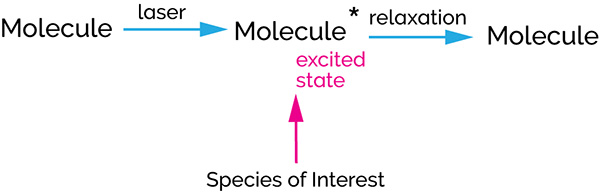 Raman Spectroscopy