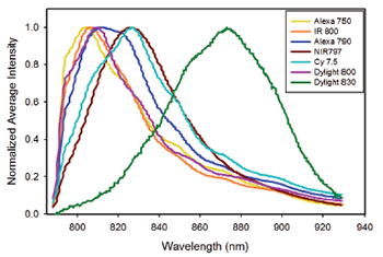 Average spectra of single beads stained with the following near infrared fluorophores: Alexa 750, IRDye800, DyLight 800, Cy7.5