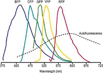 Spectral Imaging