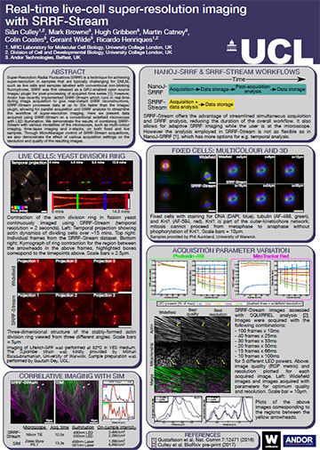 Data acquired using SRRF-Stream on a conventional widefield microscope with LED illumination