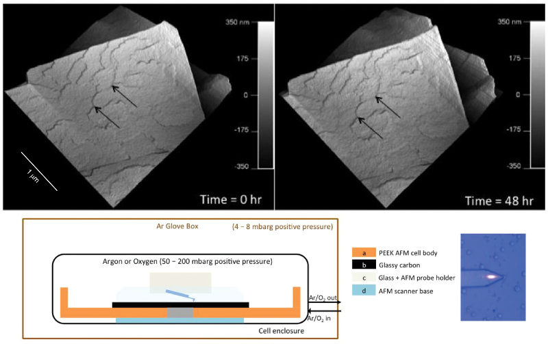In-situ topography images of a single NaO2 particle acquired 48 hours apart; schematic diagram of AFM cell for in-situ imaging.