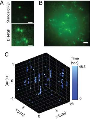 Super-Resolution Microscopy