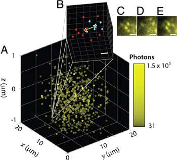 Super-Resolution Microscopy