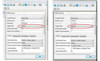 Setting up ‘master’ and ‘slave’ configuration in Solis and iQ for simultaneous imaging using two Neo sCMOS cameras