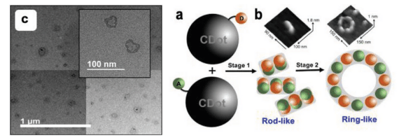 TEM and AFM carbon quantum dots