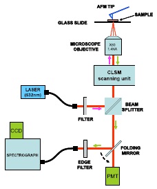 Figure 1: Schematic of the set-up used by Schmid and co-workers for acquisition of TERS spectra.