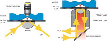 Total Internal Reflectance Fluorescence 