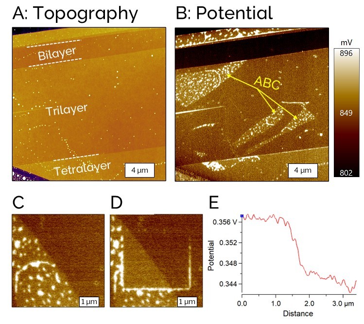 AFM topography and surface potential images of a different trilayer graphene sample.