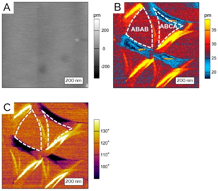  (A) Topographic image of twisted double-layer graphene; (B, C) lateral DART-PFM amplitude and phase images, respectively, showing the ABAB and ABCA stacking domains.