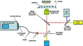 Ultra-sensitive FRET Spectroscopy