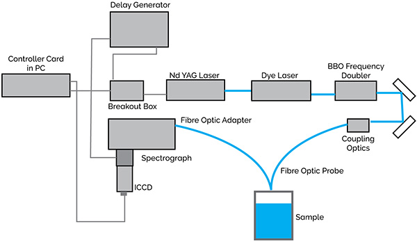 Raman Spectroscopy