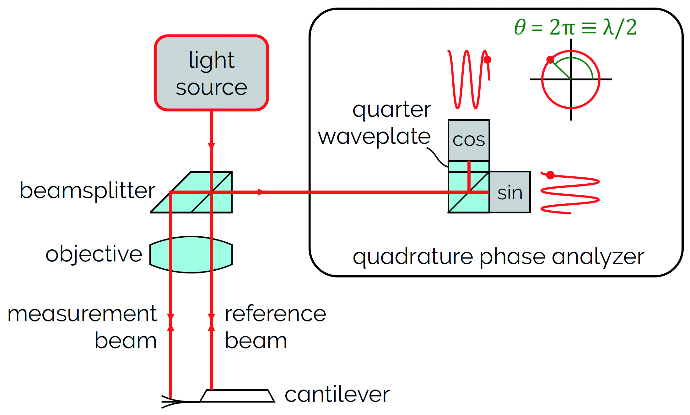 Diagram of the QPDI principle used to measure cantilever displacement in an AFM. A light beam is split into two beams that are focused onto the cantilever and the backside of the chip.  A quadrature phase analyzer measures the difference in the distance travelled  by both beams to determine the displacement of the cantilever. A full 2π cycle in phase is equivalent to a λ/2 displacement, and multiple cycles may.