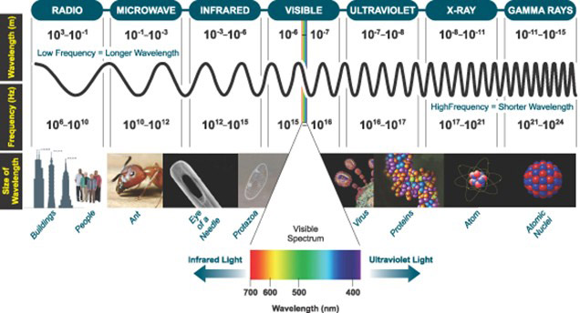 The Electromagnetic Spectrum, highlighting the narrow window of Visible Light that is detectable by the human eye.