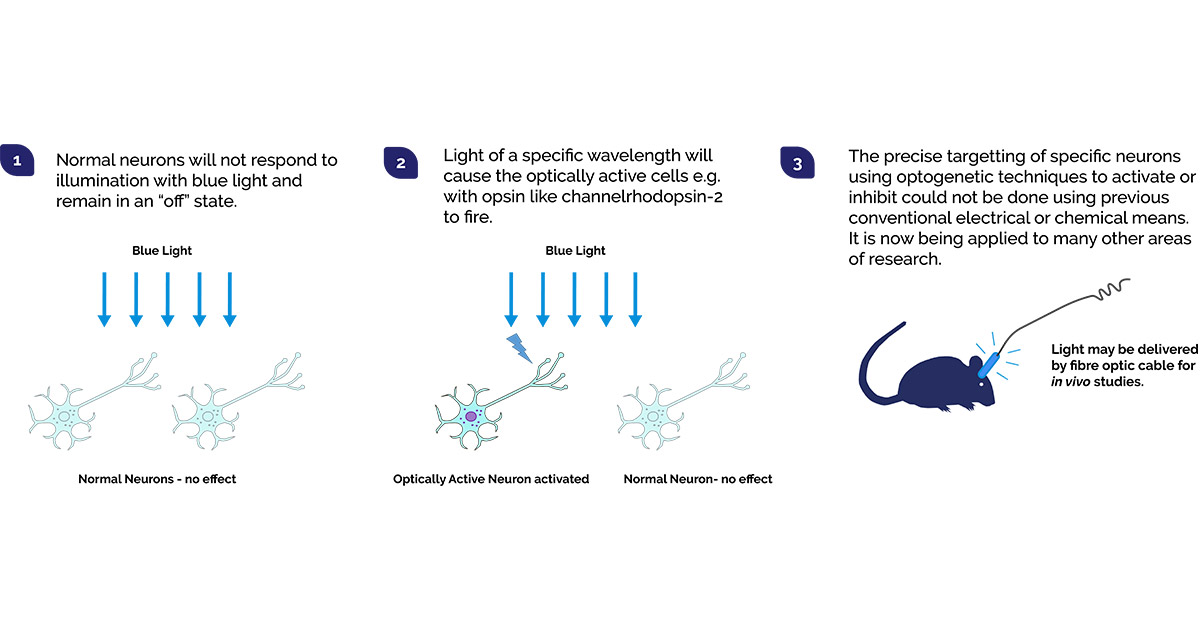 Best Illumination Options for Optophysiology and Oxford