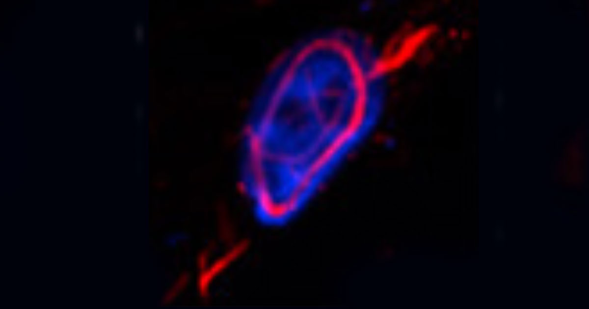 Combining images in andor solis - lasopamatters