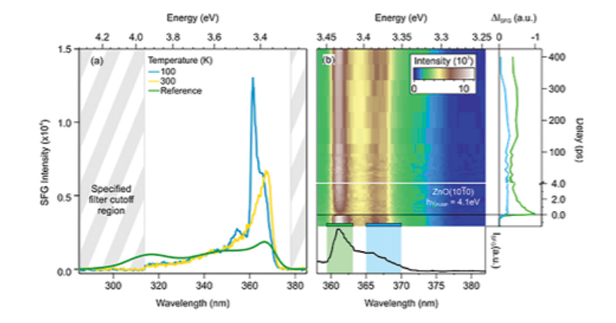 Sum-Frequency Generation Spectroscopy of Plasmonic